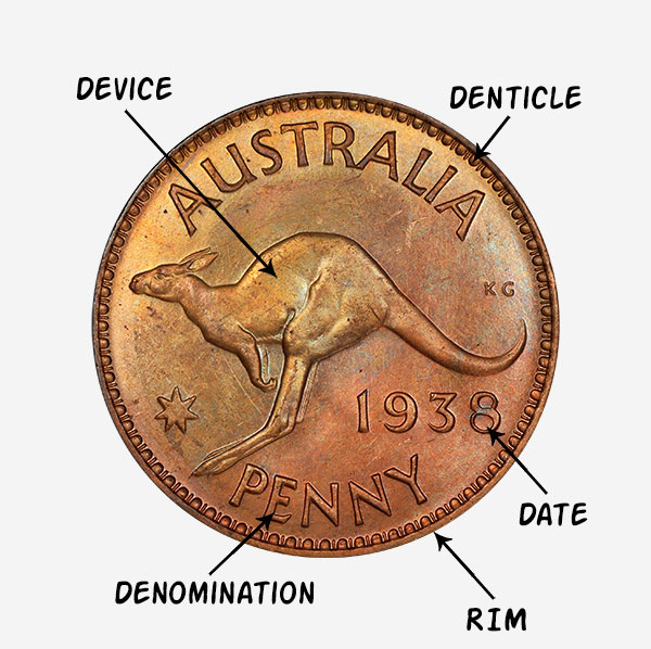 Anatomy of a Coin - Reverse